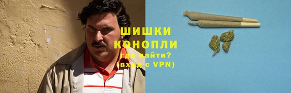 шишки Алексин