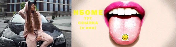 шишки Алексин