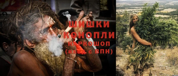 шишки Алексин