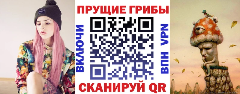 купить наркоту Уварово ОМГ ОМГ tor Псилоцибиновые грибы Psilocybe