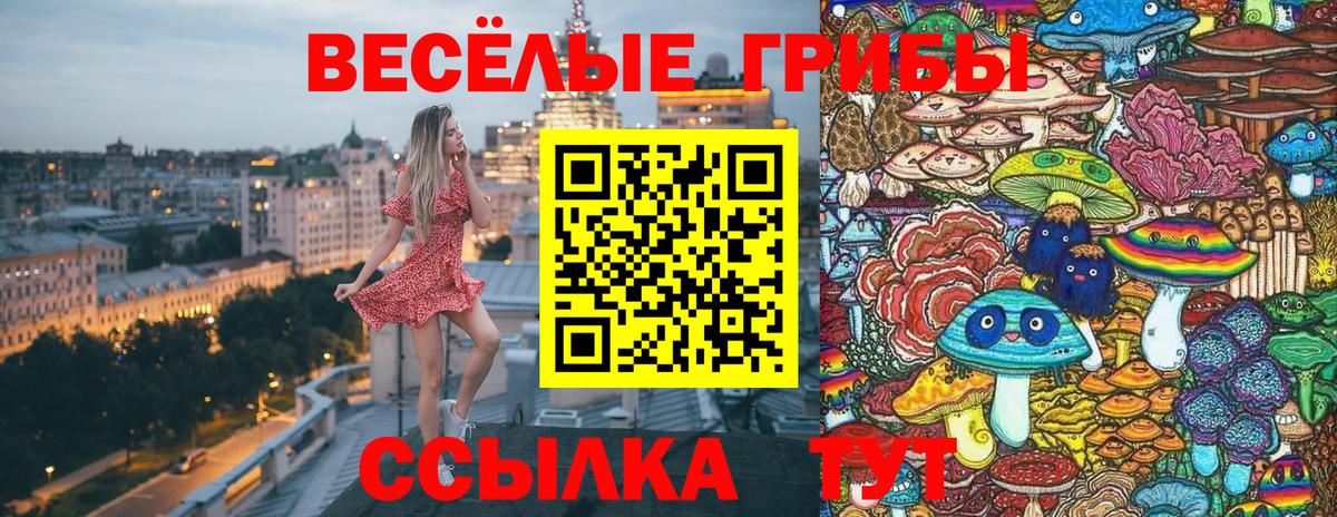 Галлюциногенные грибы прущие грибы Уварово