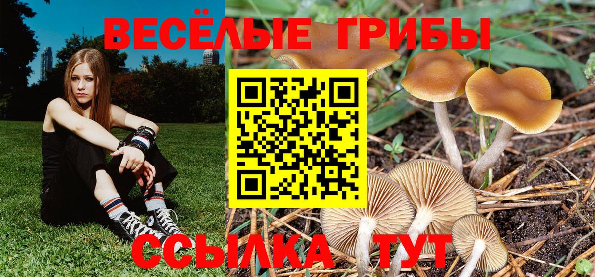 Галлюциногенные грибы мухоморы  Вход с VPN  Уварово 