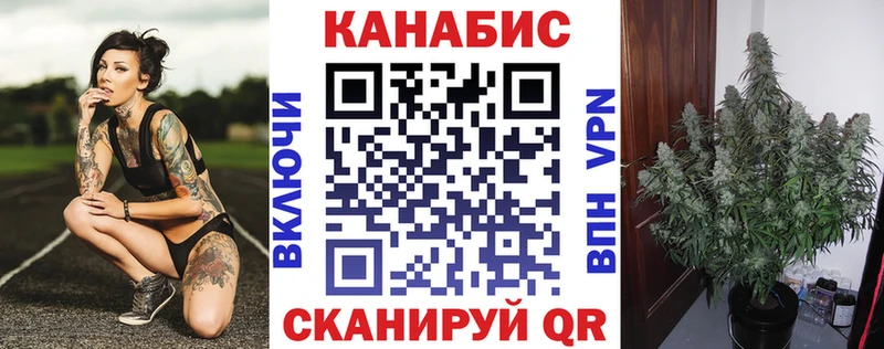 Бошки Шишки сатива  Уварово 